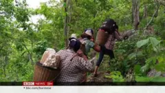 ပြည်နယ်နဲ့ တိုင်းတချို့မှာ ဒေသခံတွေနဲ့ စစ်ကောင်စီတပ်တွေ တိုက်ပွဲဆက်ဖြစ်ပွား