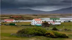 ఫాక్లాండ్స్