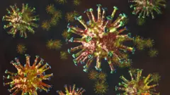 virus