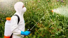 கிளைபொசேட் (Glyphosate)