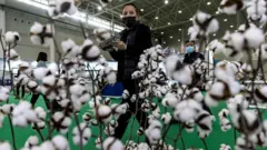 cotton exhibition
