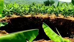 కడప జిల్లాలో భూమి