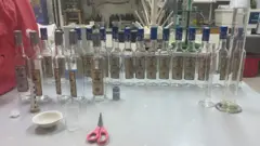 Паленая водка