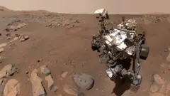 Rover