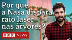 Árvore é atingida por raios vermelhos