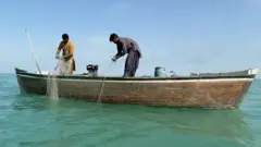 کلمت