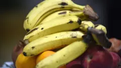موز