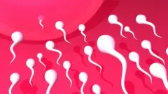 వీర్యం