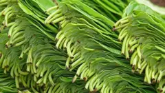 வெற்றிலை