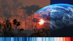 जलवायु परिवर्तन