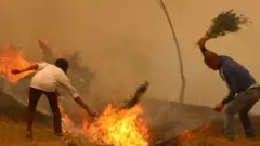 डढेलो फाइल फोटो