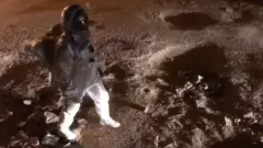 अंतरिक्ष यात्री