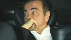 غصن