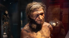 Neandertal kişisinin reproduksiyası. Təbiət Tarixi Muzeyi, London. Aprel, 2022