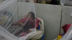 ঢাকার একটি হাসপাতালে ডেঙ্গু রোগীদের ওয়ার্ড। (ছবিটি ২০১৯ সালের অগাস্ট মাসে তোলা)
