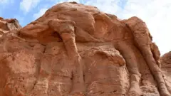 سعودی عرب