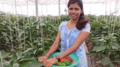 वैष्णवी देशपांडे