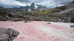 Neve vermelha nos Alpes