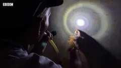 મચ્છર પકડતી વ્યક્તિ