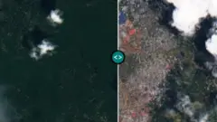 কুতুপালং