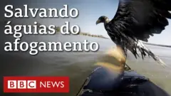 Vídeo