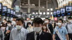 Japon kalabalık