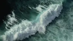 Waves