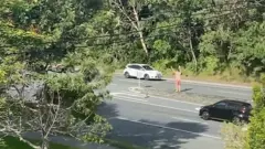 koala autoput