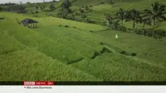 ပင်လယ်ရေ မျက်နှာပြင် မြင့်တက်မှုနဲ့ အင်ဒိုကျွန်းများ