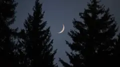 Wata