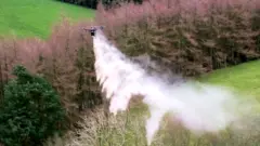 dron sahrane pepeo