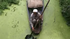डल झील