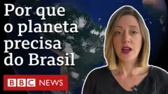Vídeo