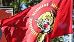விடுதலைப் புலிகளின் கொடி