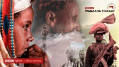 Suura waa'ee waraana Tigraay waggaa 1ffaa agarsiisu