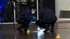 Detectives at the scene in The Hague, 29 November