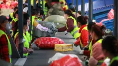 疑似來自中國 不明種子或土壤包裹引發新一波疑慮