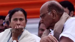 ममता बॅनर्जी, शरद पवार