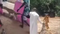 Bi wọn ṣe n bẹ aja naa niwaju pẹpẹ ati asiko ti pasitọ wa nidii oriṣa lojubọ naa