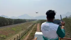 கோவை, யானைகள், வனத்துறை