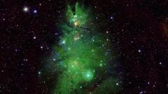 кластер NGC 2264