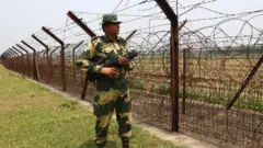 সীমান্তে বিএসএফের পাহারা 
