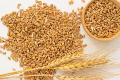 Faa'iidooyinka caafimaad ee laga helo qamadiga 