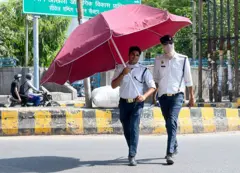 नोएडा से सेक्टर 38 में 20 मई को ट्रैफ़िक पुलिस वाले को स्ट्रीट वेंडर का छाता इस्तेमाल करते हुे देखा गया