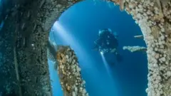 Дайвер і уламки корабля. Багато вусоногих молюсків на уламках корабля, а позаду них дайвер із ліхтариком.