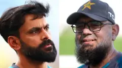 मोहम्मद हफ़ीज़ और सकलैन मुश्ताक़