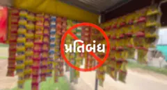 ફૂડ,ભોજન, આરોગ્ય, ગુજરાત, મહેસાણા, હેલ્થ, વેપાર, શિક્ષણ, સ્વાસ્થ્ય,પંચાયત, બીબીસી ગુજરાતી ન્યૂઝ સમાચાર 