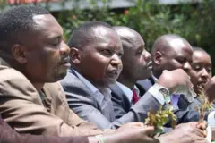 Beeraleyda qaadka Kenya