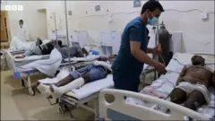 Namoota haleellan miidhaman