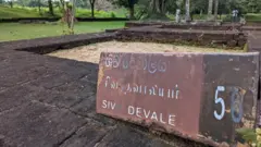 இலங்கை, சோழர்கள், வரலாறு, பொன்னியின் செல்வன்